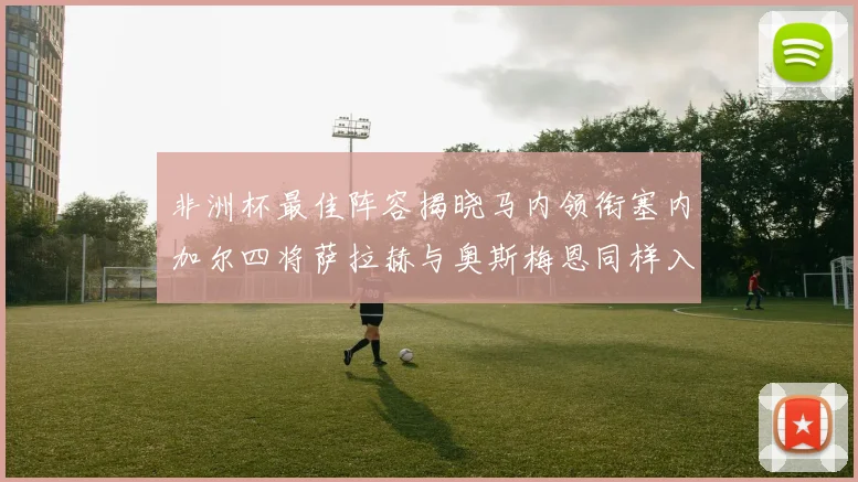 非洲杯最佳阵容揭晓马内领衔塞内加尔四将萨拉赫与奥斯梅恩同样入选